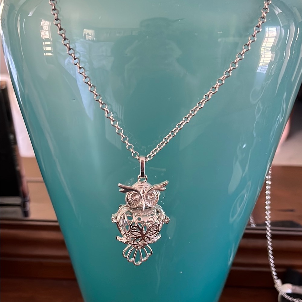 NWT- Silver Oil Diffuser Owl Necklace